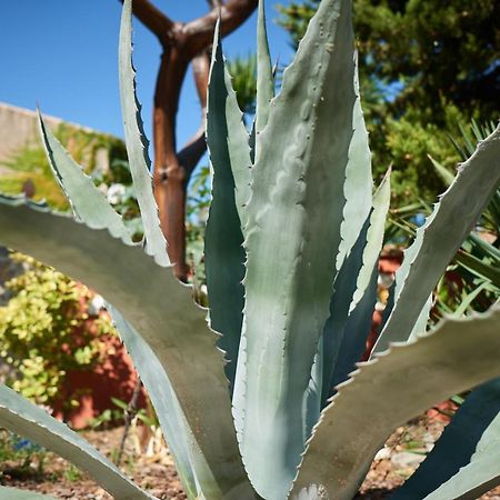 شقة Jardin De Palme La Palme المظهر الخارجي الصورة