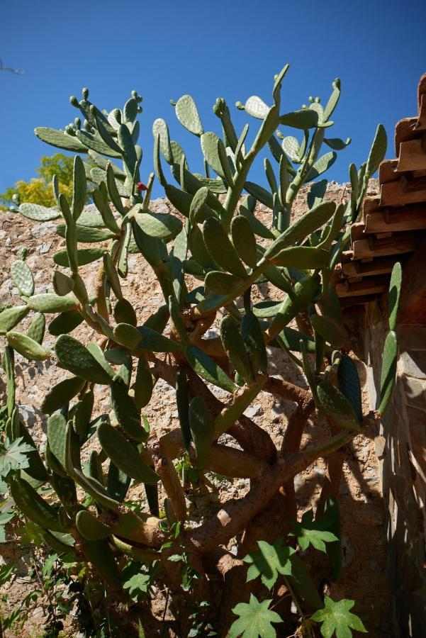 شقة Jardin De Palme La Palme المظهر الخارجي الصورة